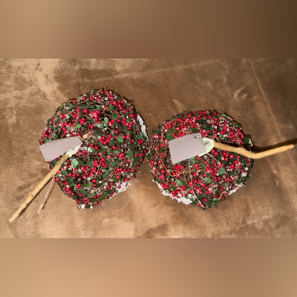 🌺𝐍𝐖𝐓-𝐋𝐀𝐍𝐃𝐒𝐂𝐀𝐏𝐄 𝐂𝐄𝐍𝐓𝐄𝐑 𝐒𝐏𝐑𝐀𝐘 𝐍𝐄𝐒𝐓 𝐄𝐆𝐆 𝐒𝐍𝐎𝐖 𝐃𝐄𝐂𝐎𝐑 - Picture 4 of 5